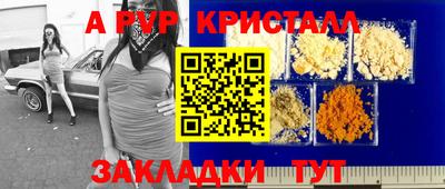кокс Кингисепп