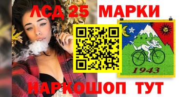 кокс Кингисепп