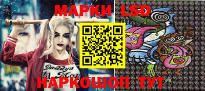 кокс Кингисепп