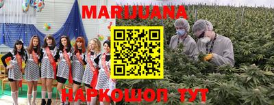кокс Кингисепп