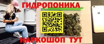 кокс Кингисепп