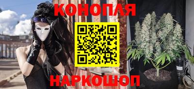 крисы Кимры