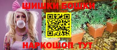крисы Кимры