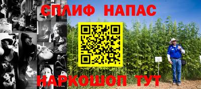 гидра Кинель